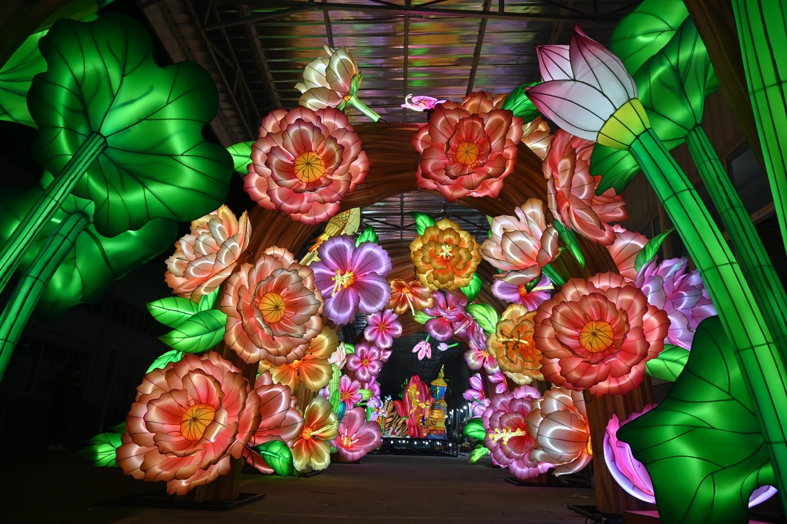 Asia Live 2026_1.JPG